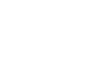 Volkswagen Financial Service